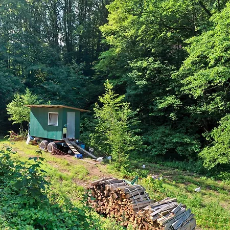 Appartamento Am Hirschfelsen Bühlertal